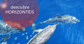 Descubre horizontes