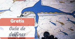 Guía de delfines