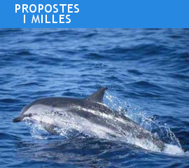 propostes per navegar a vela