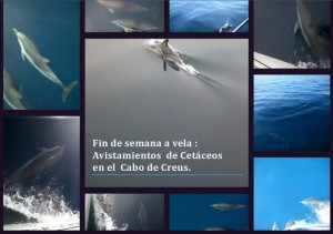 Mas informcion